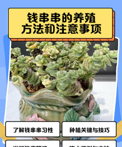 小众送妈妈的花有哪些花