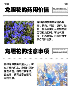 小众送妈妈的花有哪些花