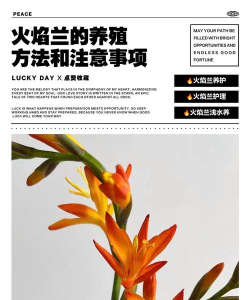 小众送妈妈的花有哪些花