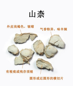 山柰的养殖方法和注意事项