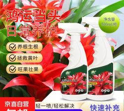 小众送妈妈的花有哪些花