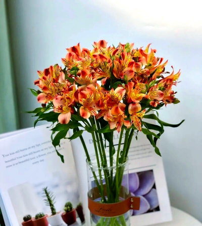 小众送妈妈的花有哪些花