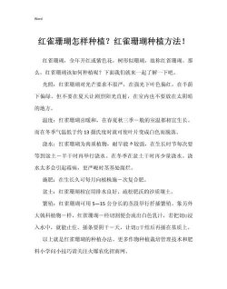 小众送妈妈的花有哪些花