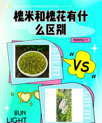 槐米的养殖方法和注意事项