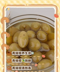 青橄榄的养殖方法和注意事项