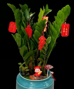 小众送妈妈的花有哪些花