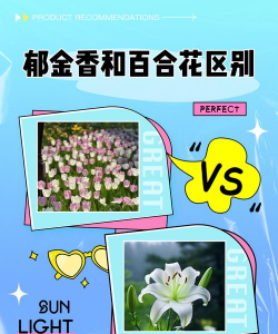 小众送妈妈的花有哪些花