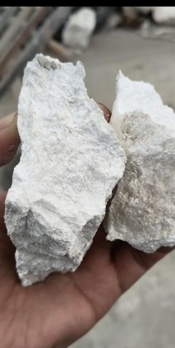 海泡石怎么种植