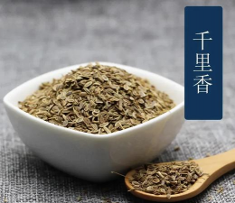 千里香与米兰的区别