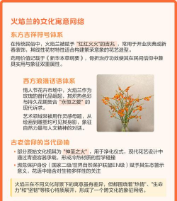 小众送妈妈的花有哪些花