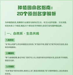 小众送妈妈的花有哪些花