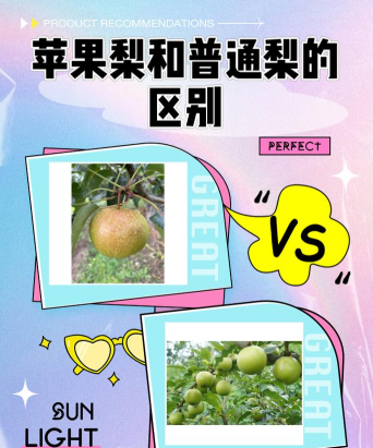 梨树和苹果树的区别 梨树和苹果树的区别