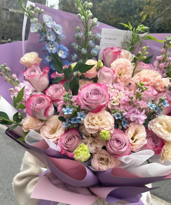 家里阳光不足怎么养花，选对植物种类，掌握养护技巧