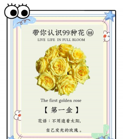 小众送妈妈的花有哪些花