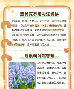 家里阳光不足怎么养花，选对植物种类，掌握养护技巧