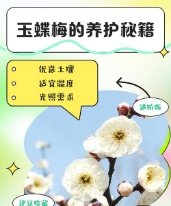 家里阳光不足怎么养花，选对植物种类，掌握养护技巧