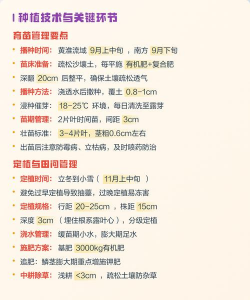 家里阳光不足怎么养花，选对植物种类，掌握养护技巧