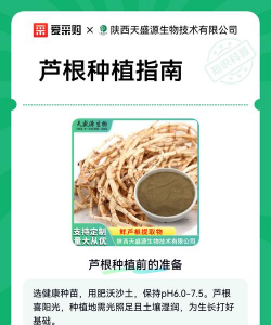 家里阳光不足怎么养花，选对植物种类，掌握养护技巧