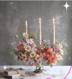 家里阳光不足怎么养花，选对植物种类，掌握养护技巧