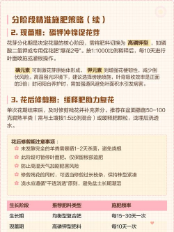 家里阳光不足怎么养花，选对植物种类，掌握养护技巧