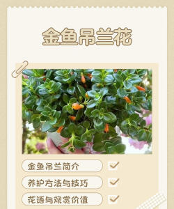 小众送妈妈的花有哪些花