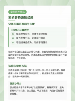 家里阳光不足怎么养花，选对植物种类，掌握养护技巧