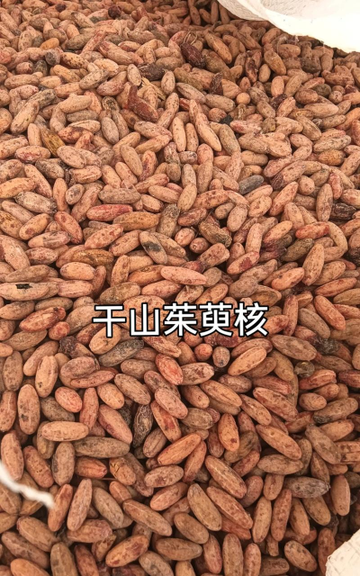 家里阳光不足怎么养花，选对植物种类，掌握养护技巧