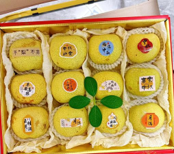 家里阳光不足怎么养花，选对植物种类，掌握养护技巧