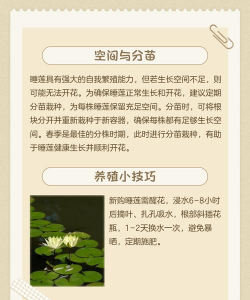 家里阳光不足怎么养花，选对植物种类，掌握养护技巧
