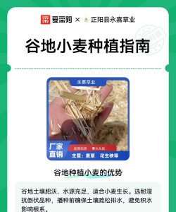 家里阳光不足怎么养花，选对植物种类，掌握养护技巧