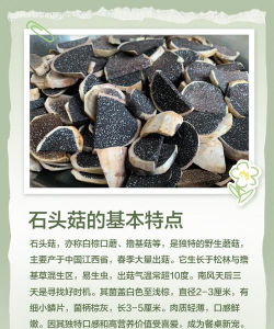 家里阳光不足怎么养花，选对植物种类，掌握养护技巧