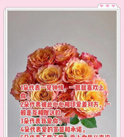 家里阳光不足怎么养花，选对植物种类，掌握养护技巧