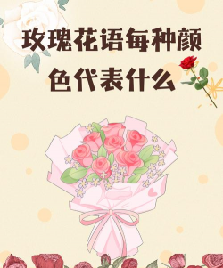 家里阳光不足怎么养花，选对植物种类，掌握养护技巧