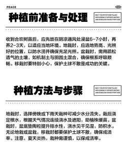 家里阳光不足怎么养花，选对植物种类，掌握养护技巧