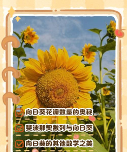 家里阳光不足怎么养花，选对植物种类，掌握养护技巧