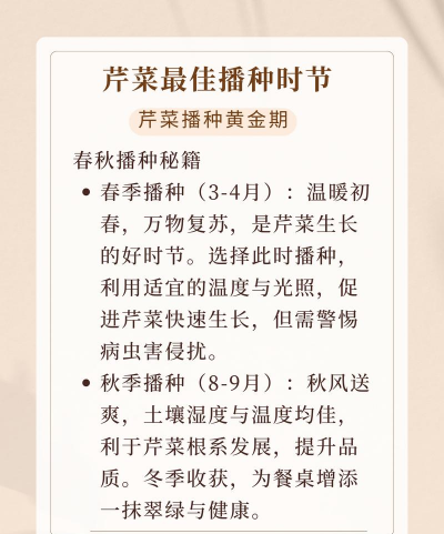 家里阳光不足怎么养花，选对植物种类，掌握养护技巧