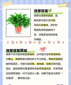 绿萝的好处和坏处 绿萝的好处和坏处