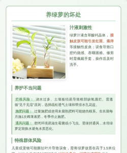 家里阳光不足怎么养花，选对植物种类，掌握养护技巧
