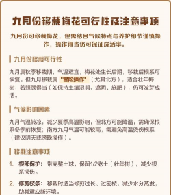 家里阳光不足怎么养花，选对植物种类，掌握养护技巧