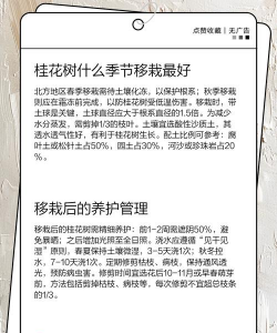 家里阳光不足怎么养花，选对植物种类，掌握养护技巧