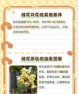 家里阳光不足怎么养花，选对植物种类，掌握养护技巧