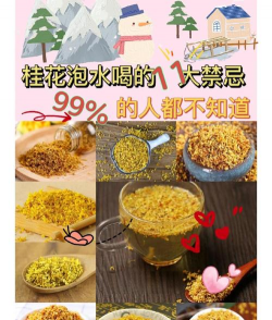 桂花可以水养吗 桂花可以水养吗