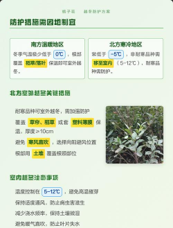 栀子花冬天可以在室外吗 栀子花冬天可以在室外吗