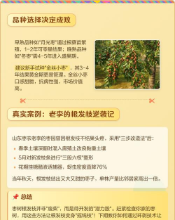 家里阳光不足怎么养花，选对植物种类，掌握养护技巧