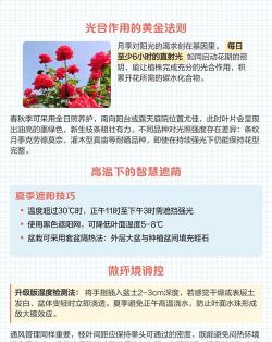 家里阳光不足怎么养花，选对植物种类，掌握养护技巧