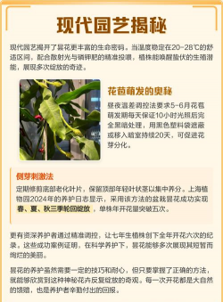 家里阳光不足怎么养花，选对植物种类，掌握养护技巧