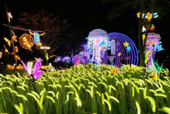 家里阳光不足怎么养花，选对植物种类，掌握养护技巧