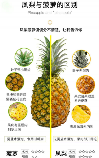 家里阳光不足怎么养花，选对植物种类，掌握养护技巧