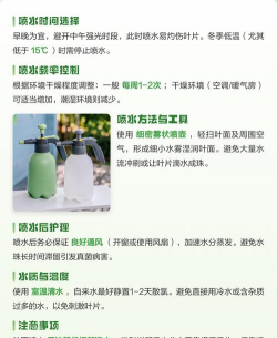 家里阳光不足怎么养花，选对植物种类，掌握养护技巧