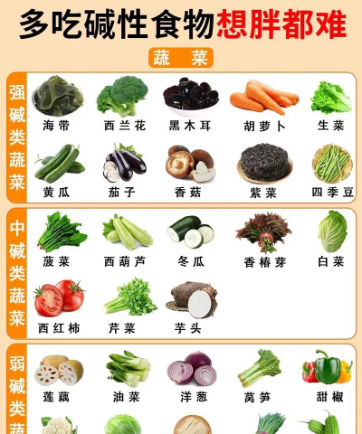 常见蔬菜有哪些